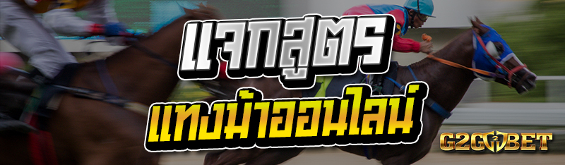 แจกสูตรแทงม้าออนไลน์